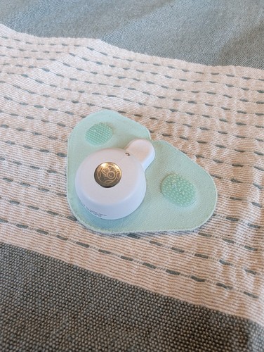 Owlet dream sock - owlet,